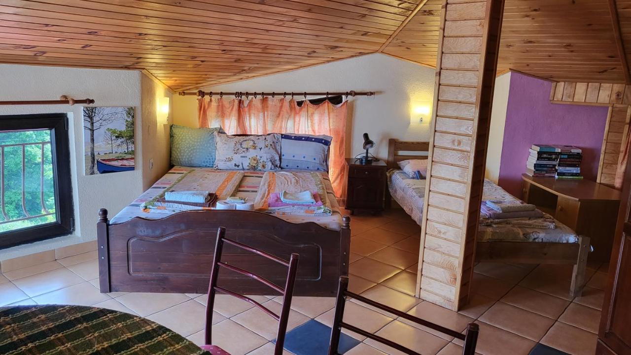 Guest House Fanny ซิเนโมเร็ท ภายนอก รูปภาพ
