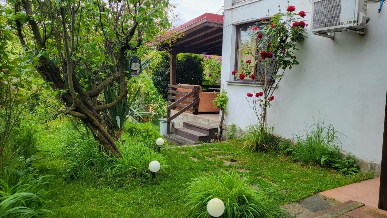 Guest House Fanny ซิเนโมเร็ท ภายนอก รูปภาพ