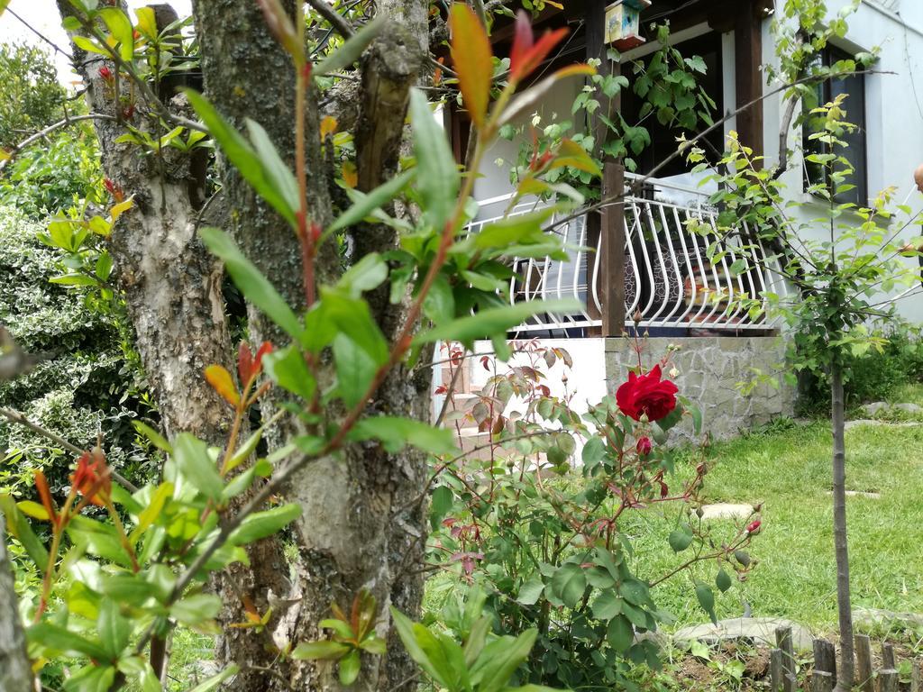 Guest House Fanny ซิเนโมเร็ท ภายนอก รูปภาพ